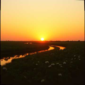 Tommy Shutter Podcasts